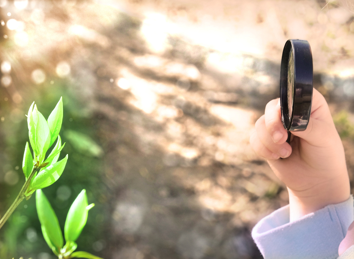 Child with a magnifying glass in hand investigate  details of nature . Happy looks at the young spring, Springtime outdoor kids activity and learning concept.